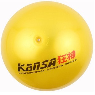 Ballon de volley-ball - Ref 2012054