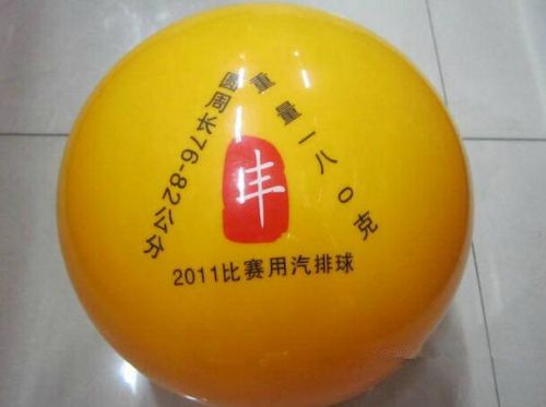 Ballon de volley-ball - Ref 2012057