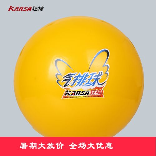 Ballon de volley-ball - Ref 2012118