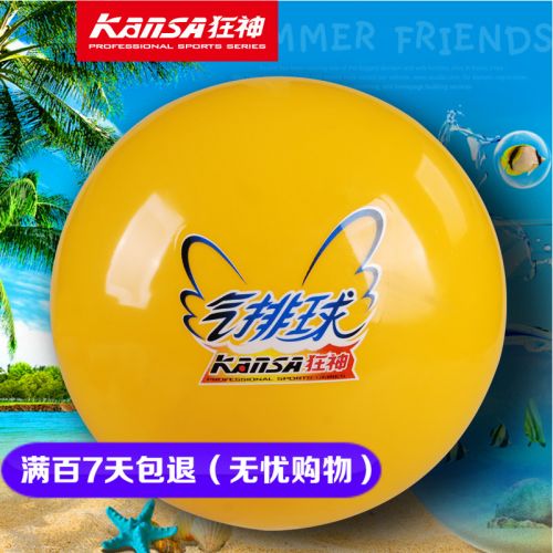 Ballon de volley-ball - Ref 2012119