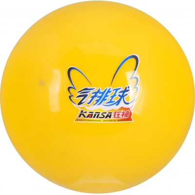 Ballon de volley-ball - Ref 2012130