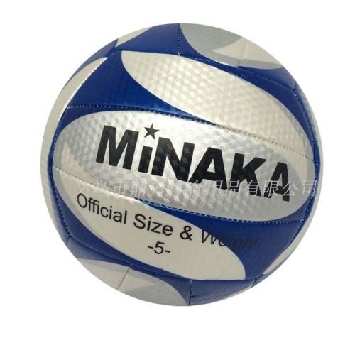 Ballon de volley-ball - Ref 2012134