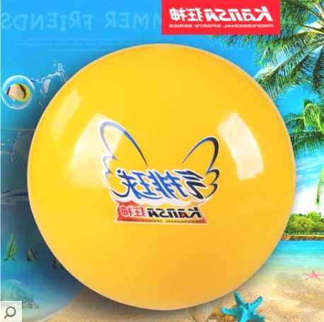 Ballon de volley-ball - Ref 2012139