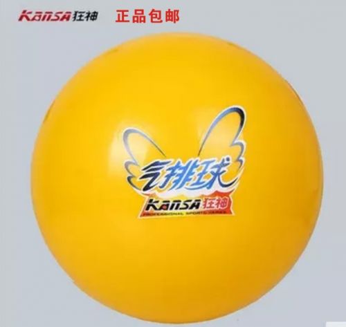 Ballon de volley-ball - Ref 2012154