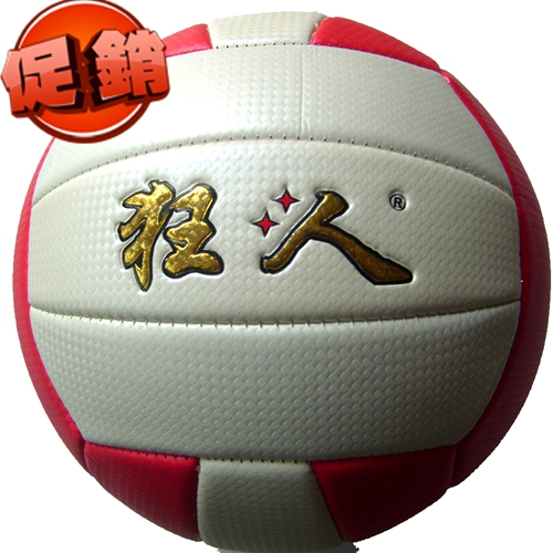 Ballon de volley-ball - Ref 2012162