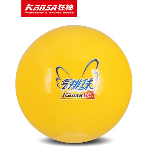 Ballon de volley-ball - Ref 2012167