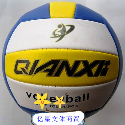 Ballon de volley-ball - Ref 2012168