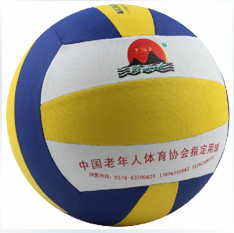 Ballon de volley-ball - Ref 2012178