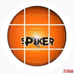 Ballon de volley-ball SUPA - Ref 2012207