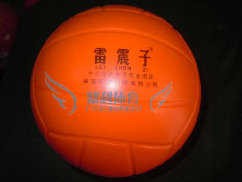 Ballon de volley-ball - Ref 2012216