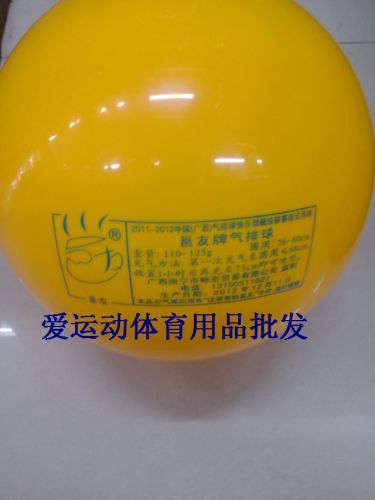 Ballon de volley-ball - Ref 2012225