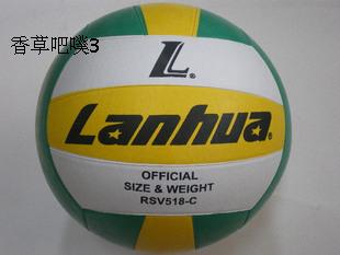 Ballon de volley-ball - Ref 2012245