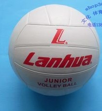 Ballon de volley-ball - Ref 2012343