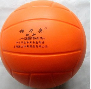 Ballon de volley-ball - Ref 2012361