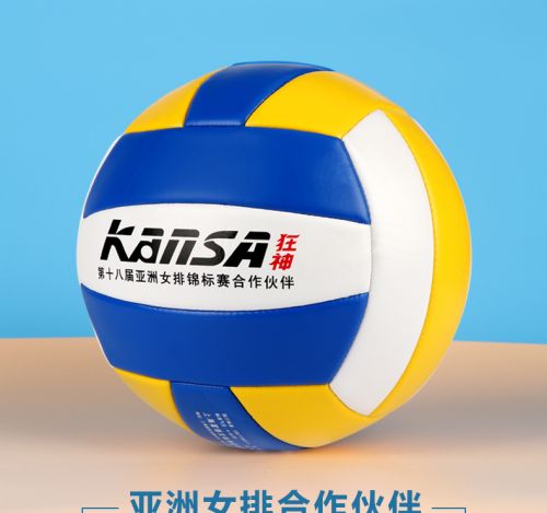 Ballon de volley-ball - Ref 2012506