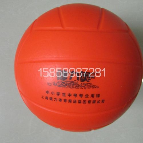 Ballon de volley-ball - Ref 2012517