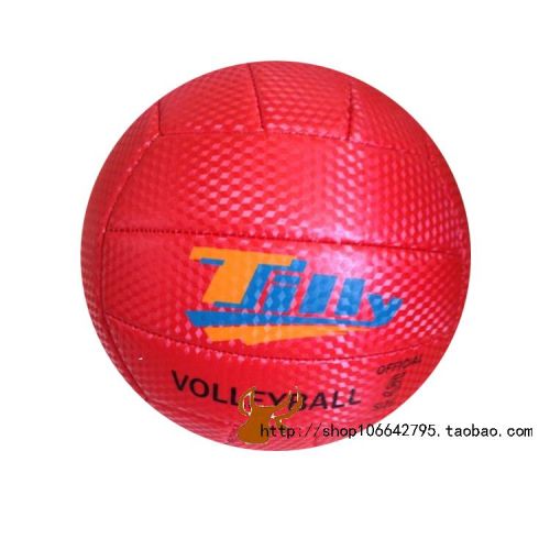 Ballon de volley-ball - Ref 2012518