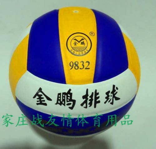 Ballon de volley-ball - Ref 2012552