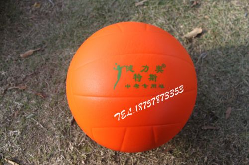 Ballon de volley-ball - Ref 2012584