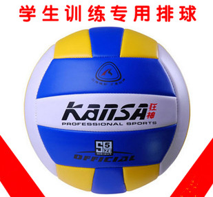 Ballon de volley-ball - Ref 2012600