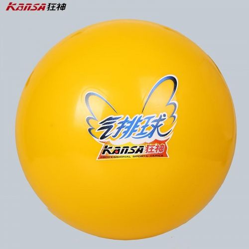 Ballon de volley-ball - Ref 2012602
