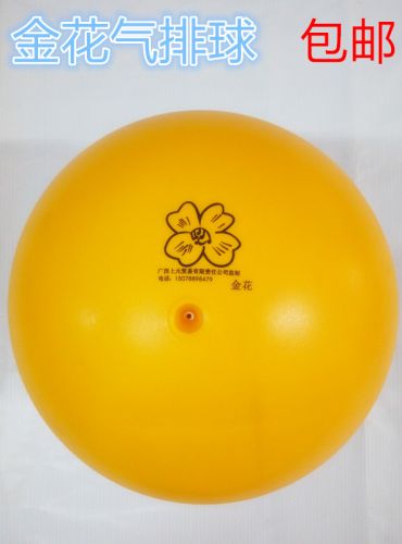 Ballon de volley-ball - Ref 2012652