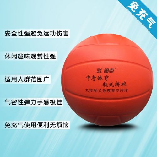 Ballon de volley-ball - Ref 2012721