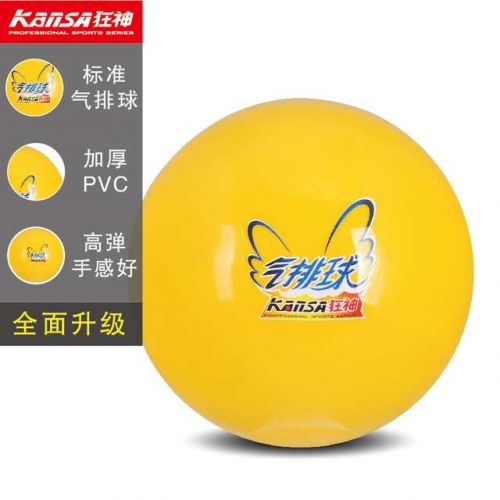 Ballon de volley-ball - Ref 2012758