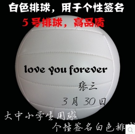 Ballon de volley-ball - Ref 2012822