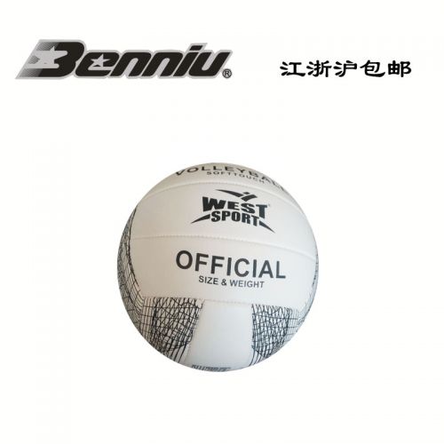 Ballon de volley-ball - Ref 2012841