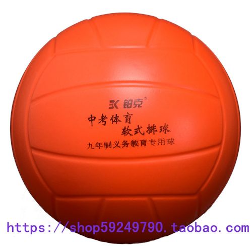 Ballon de volley-ball - Ref 2013004