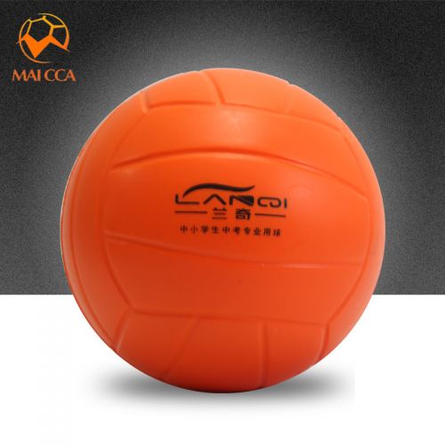 Ballon de volley-ball - Ref 2013006