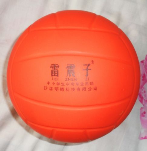 Ballon de volley-ball - Ref 2013007
