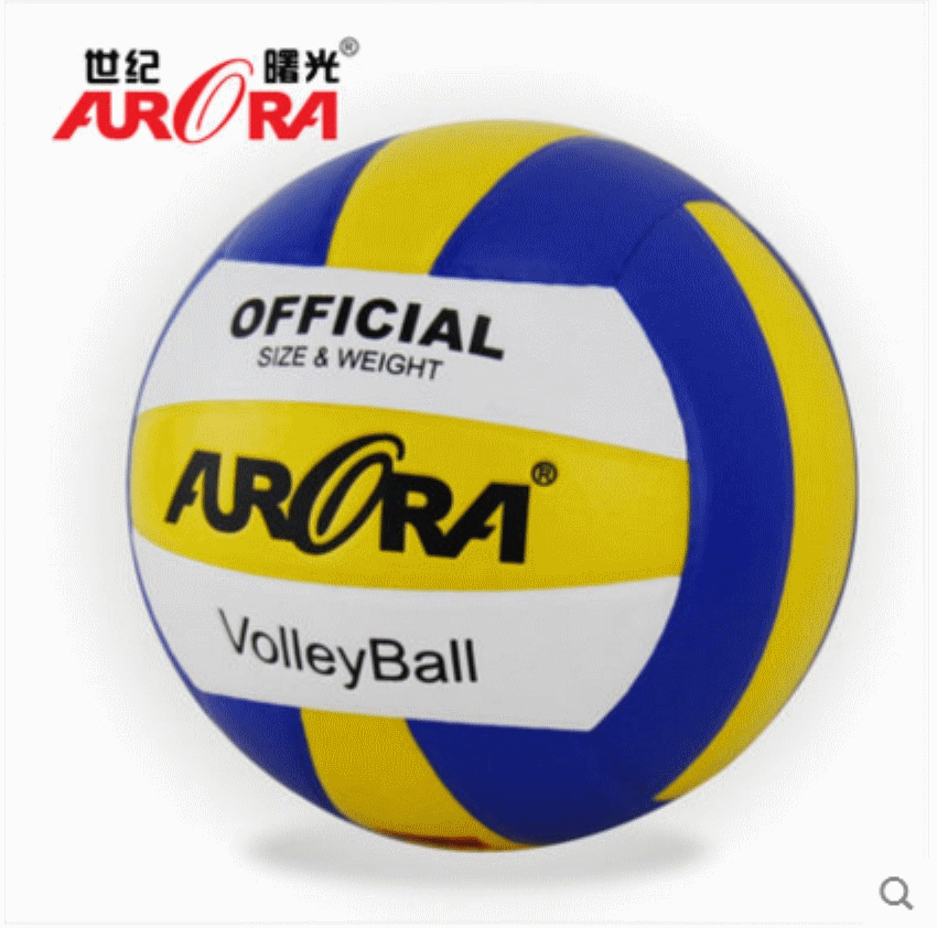Ballon de volley-ball - Ref 2013020