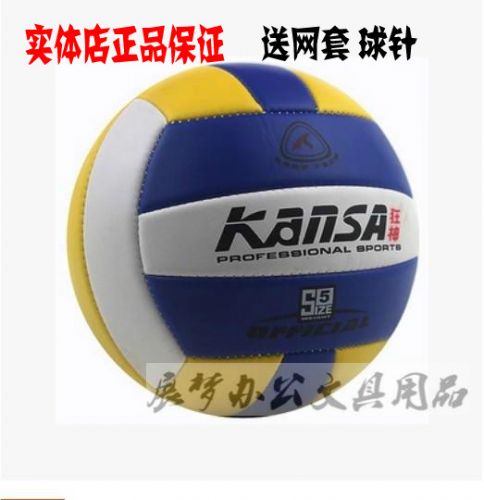 Ballon de volley-ball - Ref 2013025