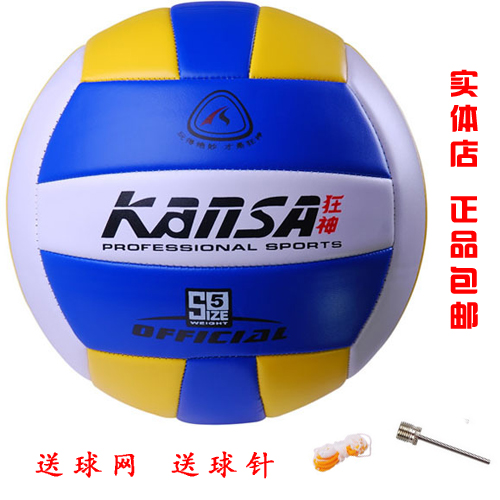 Ballon de volley-ball - Ref 2013032