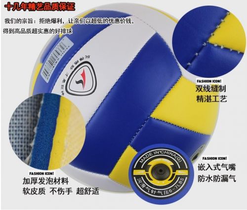 Ballon de volley-ball - Ref 2013053