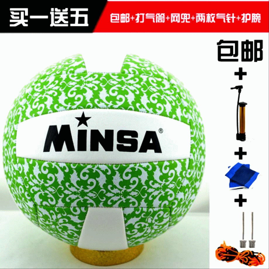 Ballon de volley-ball MINSA - Ref 2013088