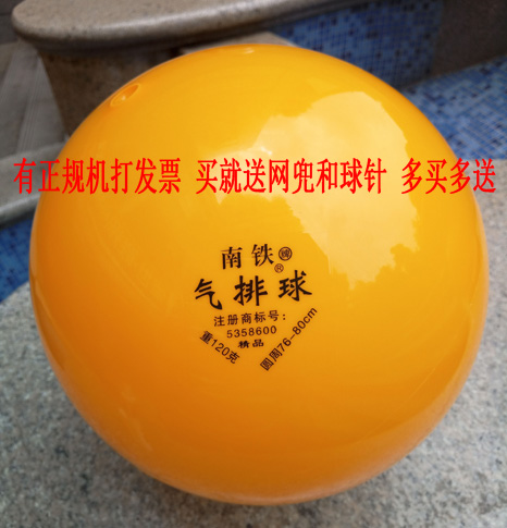 Ballon de volley-ball - Ref 2013103