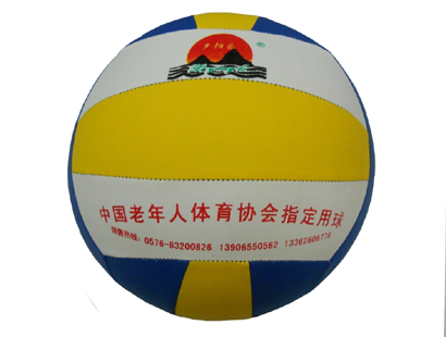 Ballon de volley-ball - Ref 2013109