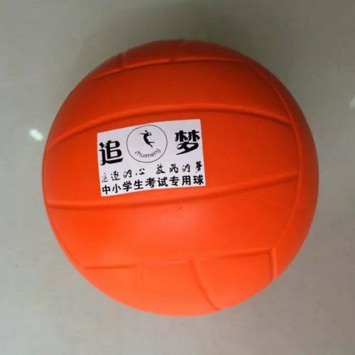 Ballon de volley-ball - Ref 2013131