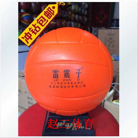 Ballon de volley-ball - Ref 2013135