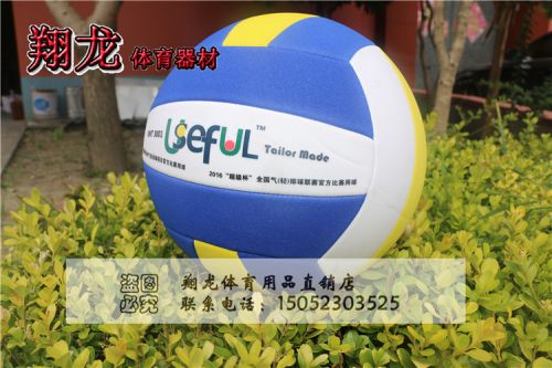 Ballon de volley-ball - Ref 2013150