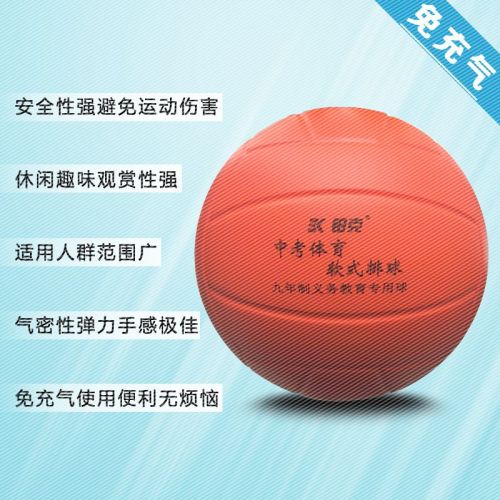 Ballon de volley-ball - Ref 2013176