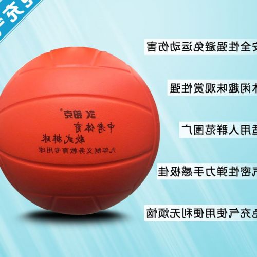 Ballon de volley-ball - Ref 2013230