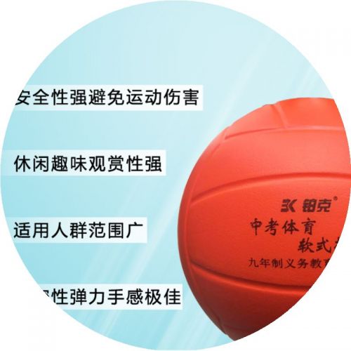 Ballon de volley-ball - Ref 2013243