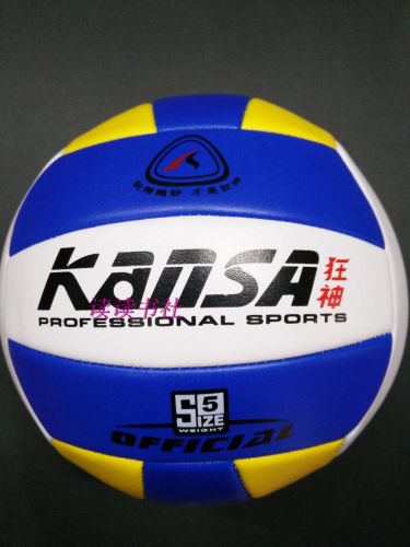 Ballon de volley-ball - Ref 2013290