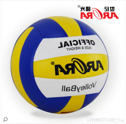 Ballon de volley-ball - Ref 2013303
