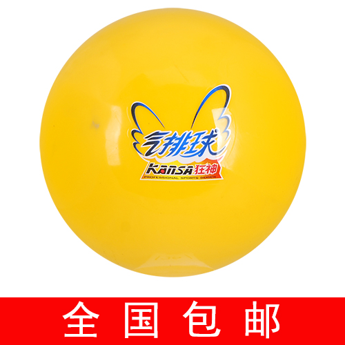 Ballon de volley-ball - Ref 2013317