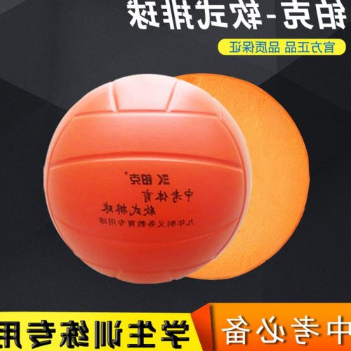Ballon de volley-ball - Ref 2013341